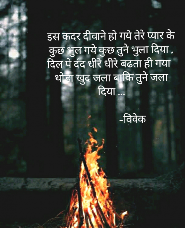 Hindi Shayri by Vivek Katare : 111706373