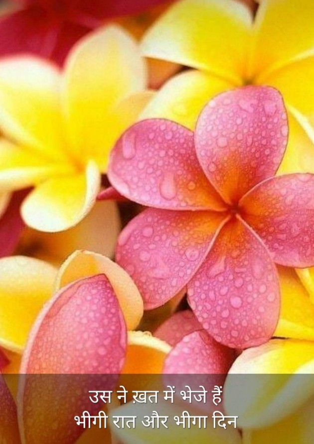 Hindi Blog by Kumar Rahman : 111706928