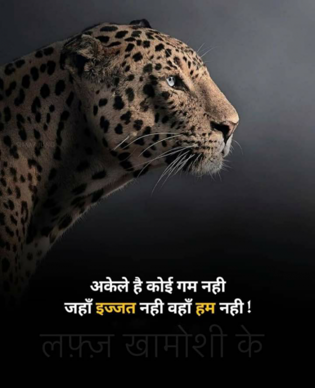 Hindi Whatsapp-Status by Haresh Shah : 111706963