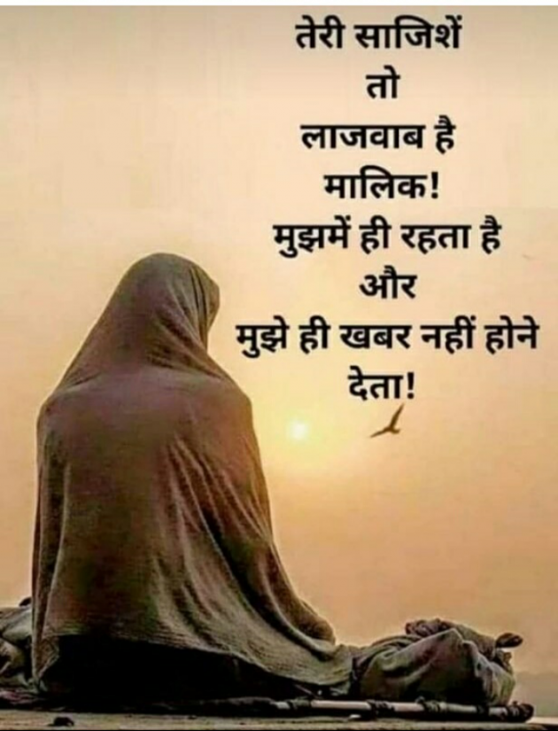 Hindi Whatsapp-Status by Haresh Shah : 111707396