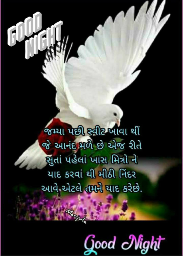 English Good Night by Jayrajsinh Parmar : 111707828