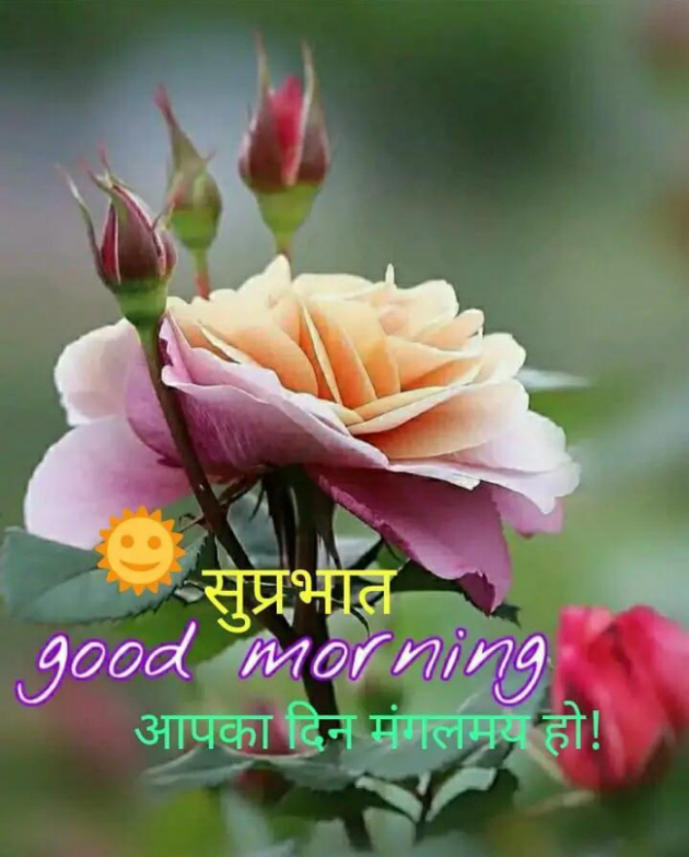 Hindi Good Morning by SUBHASH : 111708408