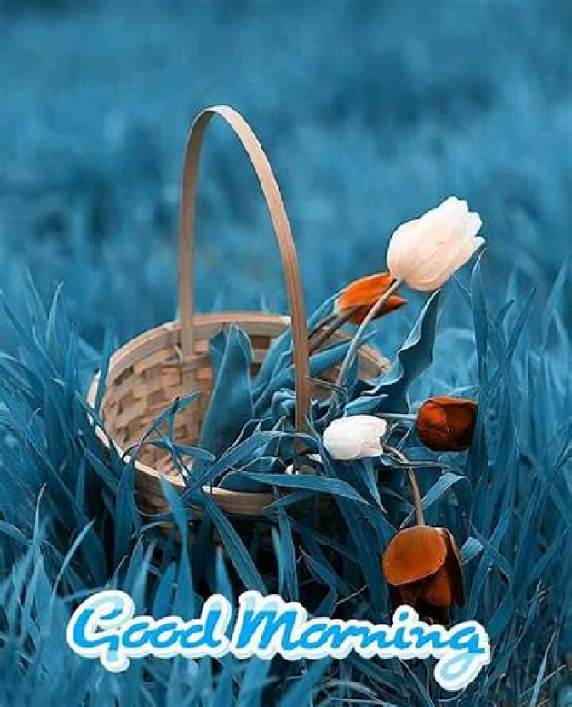 Hindi Whatsapp-Status by Sarita : 111708413