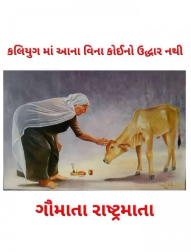 Hindi Blog by संजय कुमार दवे : 111708674