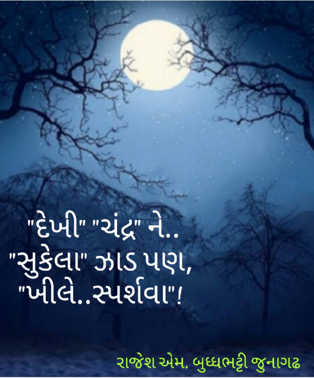 Gujarati Hiku by Rajesh Buddhabhatti : 111709143