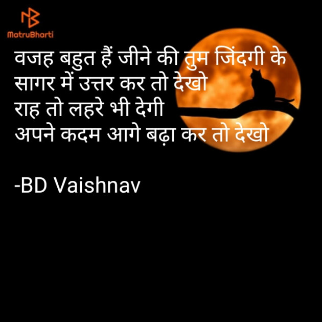 Hindi Motivational by BD Vaishnav : 111709397