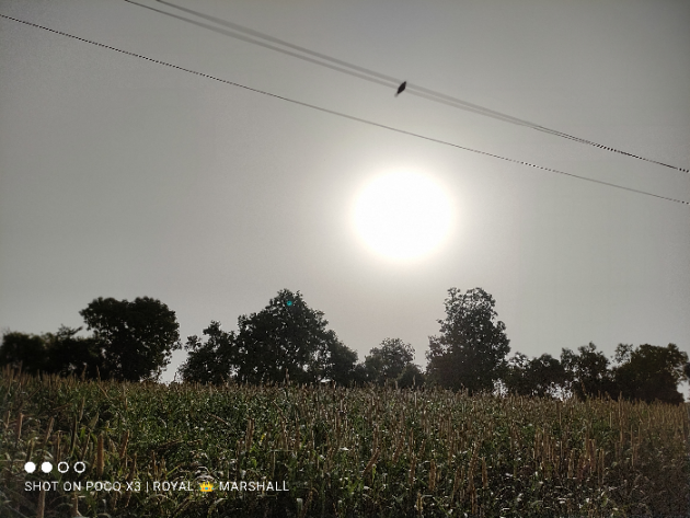 Hindi Blog by Harsh Parmar : 111709724