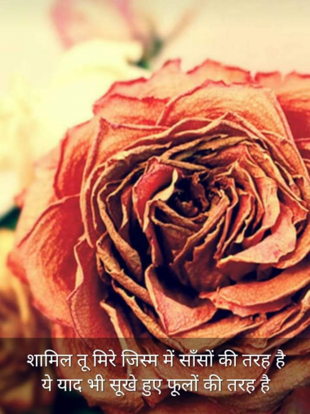 Hindi Blog by Kumar Rahman : 111710163