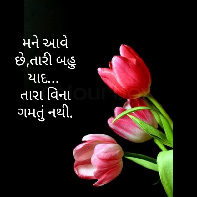 Gujarati Quotes by वात्सल्य : 111710535