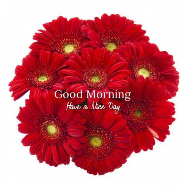 Hindi Good Morning by SUBHASH : 111710772