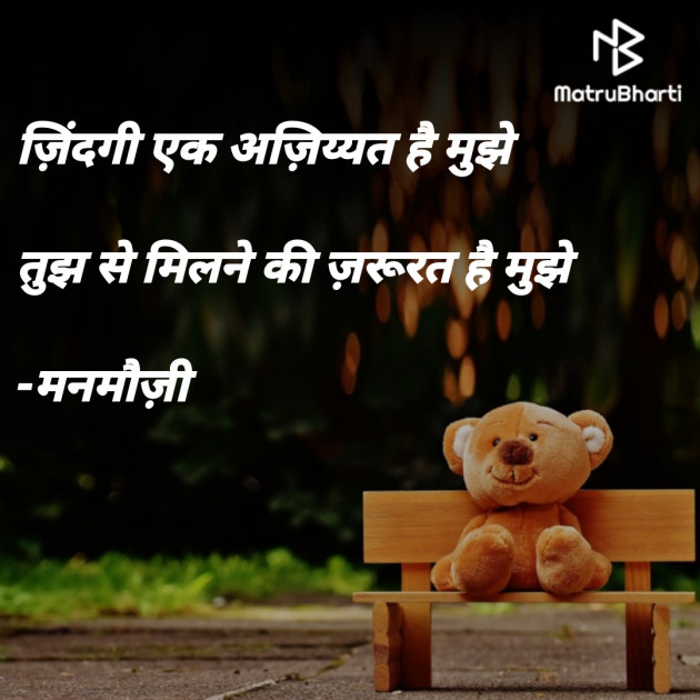 Hindi Blog by मनमौज़ी : 111711325
