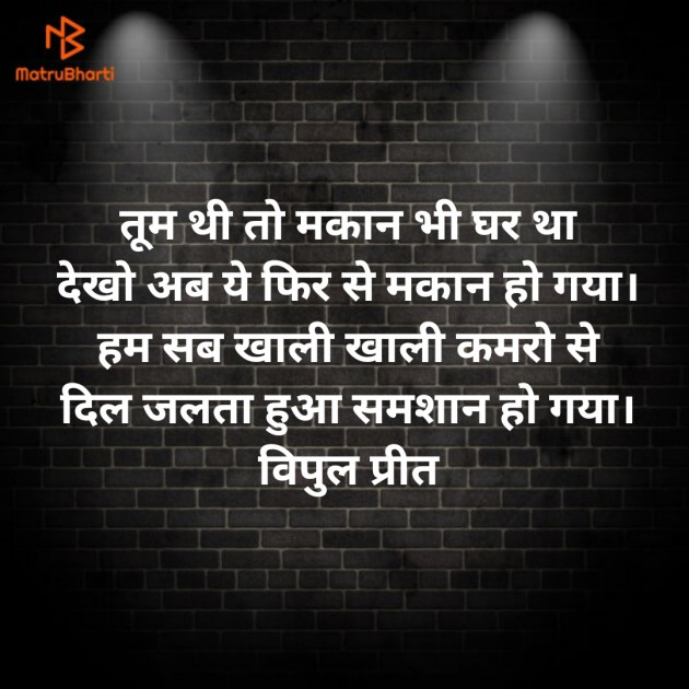 Hindi Whatsapp-Status by Vipul Borisa : 111711482