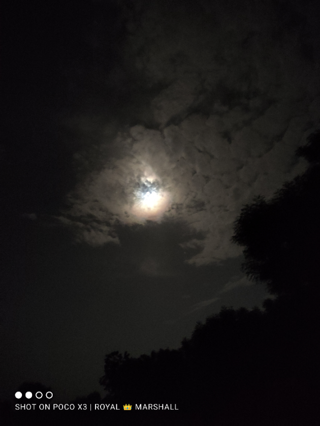 Hindi Blog by Harsh Parmar : 111711666