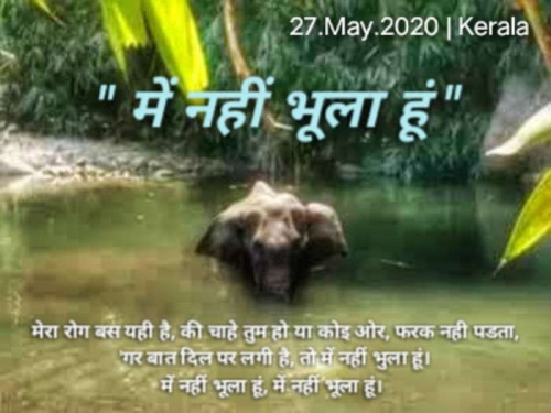 Post by pk BOSS on 27-May-2021 12:11am