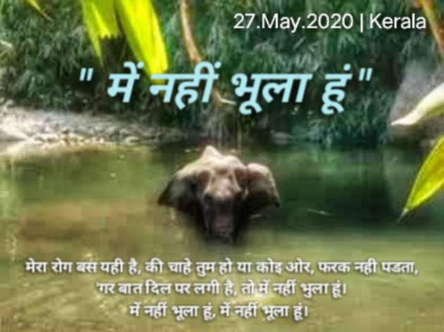 Hindi Tribute by pk BOSS : 111711682