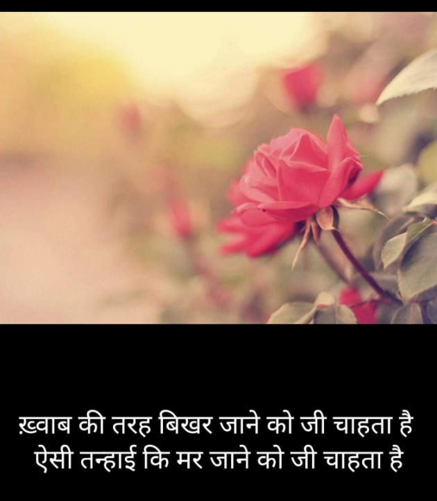 Hindi Blog by Kumar Rahman : 111712285
