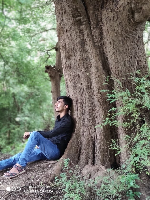 Hindi Blog by Harsh Parmar : 111712329