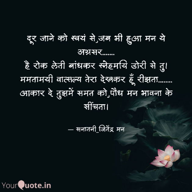 Hindi Whatsapp-Status by सनातनी_जितेंद्र मन : 111712738