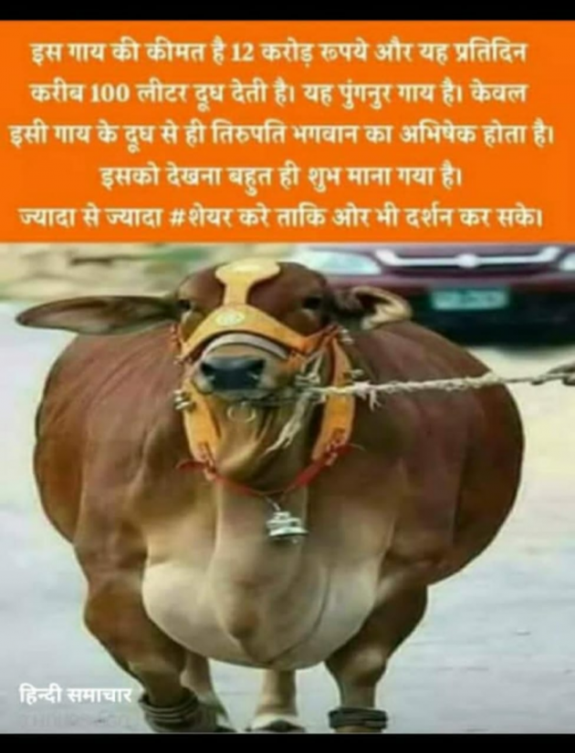 Hindi Motivational by SUBHASH : 111712822