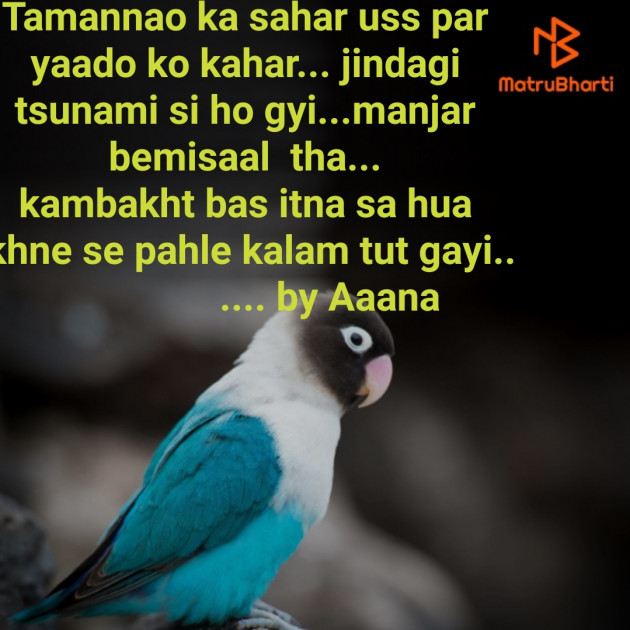 Hindi Blog by Aana : 111713500