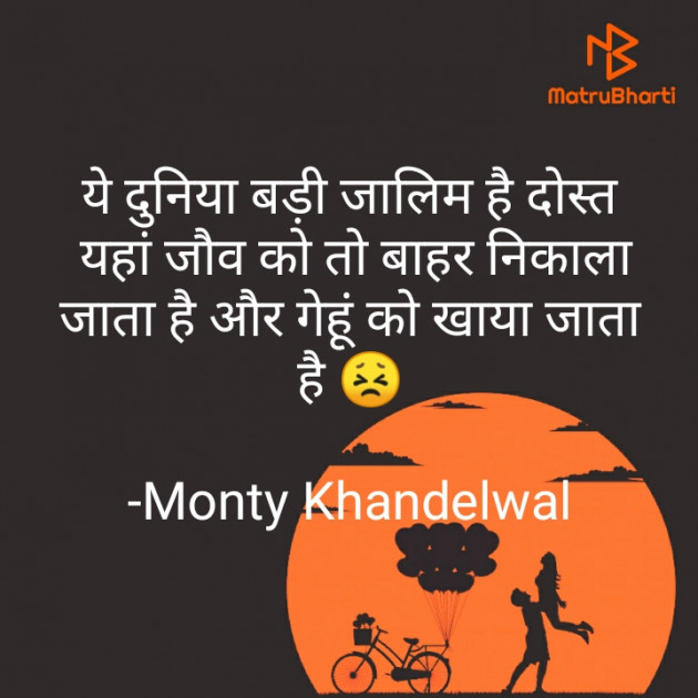 Hindi Blog by Monty Khandelwal : 111713547