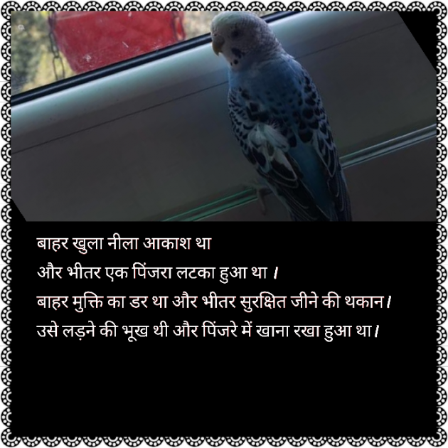 Hindi Motivational by Rj Ritu : 111713625
