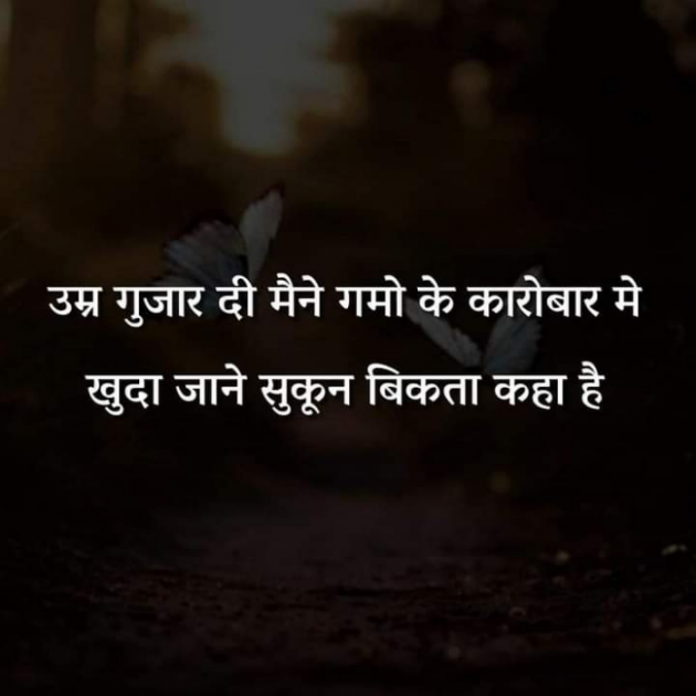 Hindi Whatsapp-Status by SUBHASH : 111713801