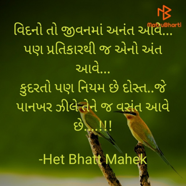 Gujarati Quotes by Het Bhatt Mahek : 111714223