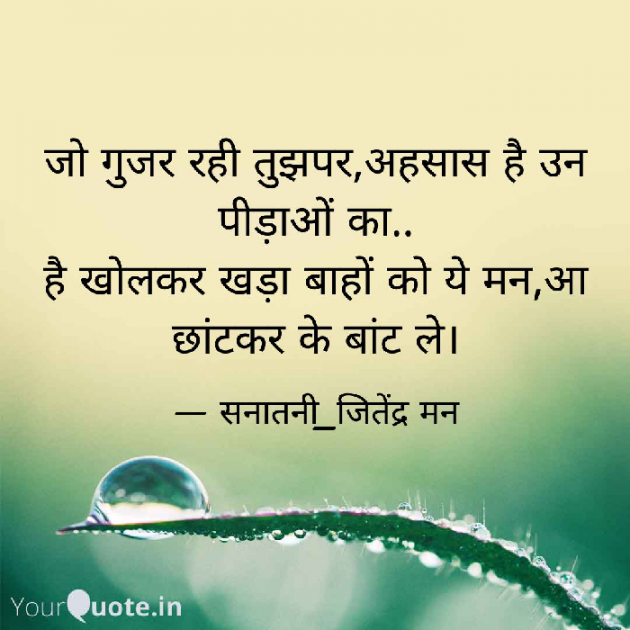 Hindi Whatsapp-Status by सनातनी_जितेंद्र मन : 111714335
