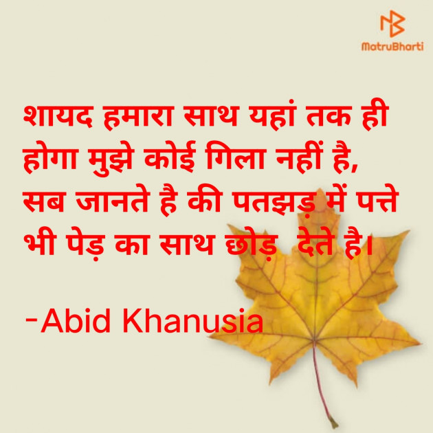 Hindi Romance by Abid Khanusia : 111714471