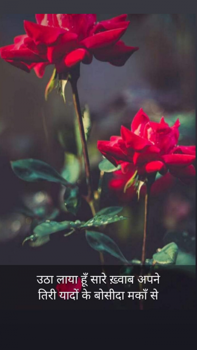 Hindi Blog by Kumar Rahman : 111714510
