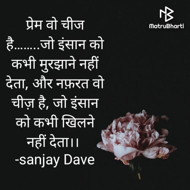Hindi Blog by संजय कुमार दवे : 111715458