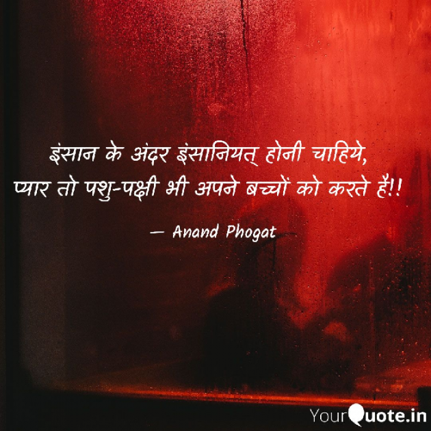 English Quotes by आनन्द फौगाट : 111715717