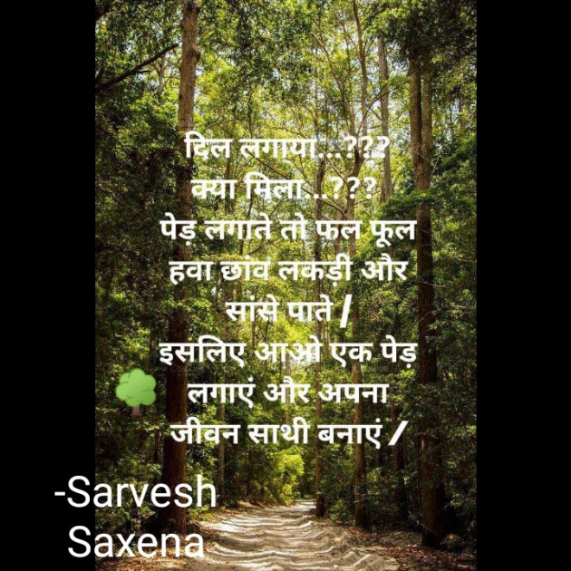 Hindi Quotes by Sarvesh Saxena : 111715801