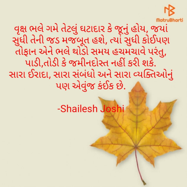 Gujarati Thought by Shailesh Joshi : 111716354