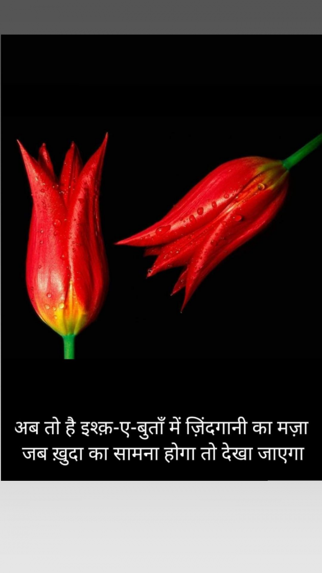 Hindi Blog by Kumar Rahman : 111716748
