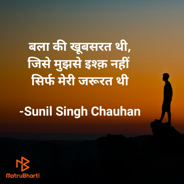 Hindi Blog by Sunil Singh Chauhan : 111716817