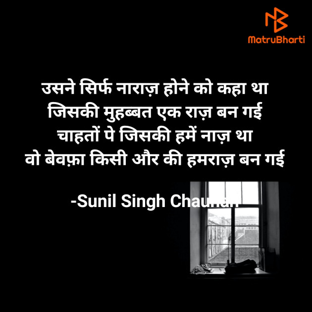 Hindi Blog by Sunil Singh Chauhan : 111716826