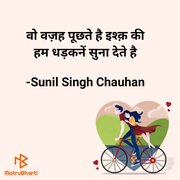 Hindi Blog by Sunil Singh Chauhan : 111716835