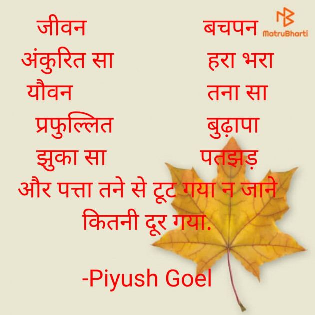 Hindi Poem by Piyush Goel : 111717598