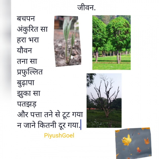 Hindi Motivational by Piyush Goel : 111717646