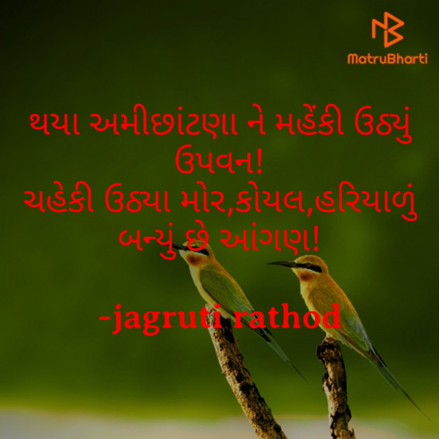 Gujarati Good Morning by jagruti rathod : 111717904