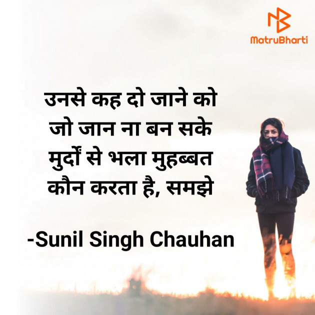 Hindi Blog by Sunil Singh Chauhan : 111717917