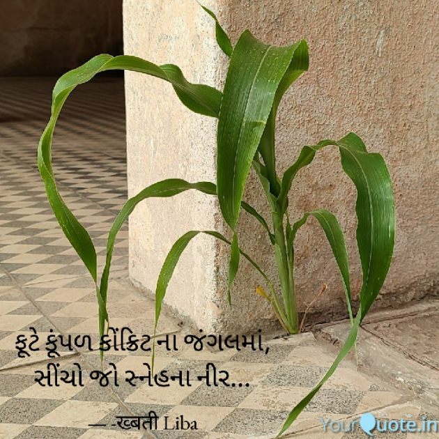 Gujarati Shayri by Hemali : 111717996