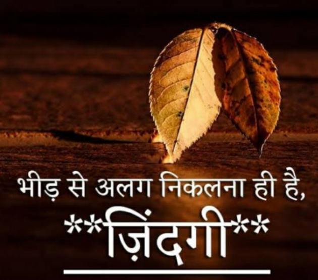 Gujarati Quotes by Het Bhatt Mahek : 111718393