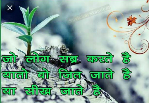 Gujarati Quotes by Het Bhatt Mahek : 111718397