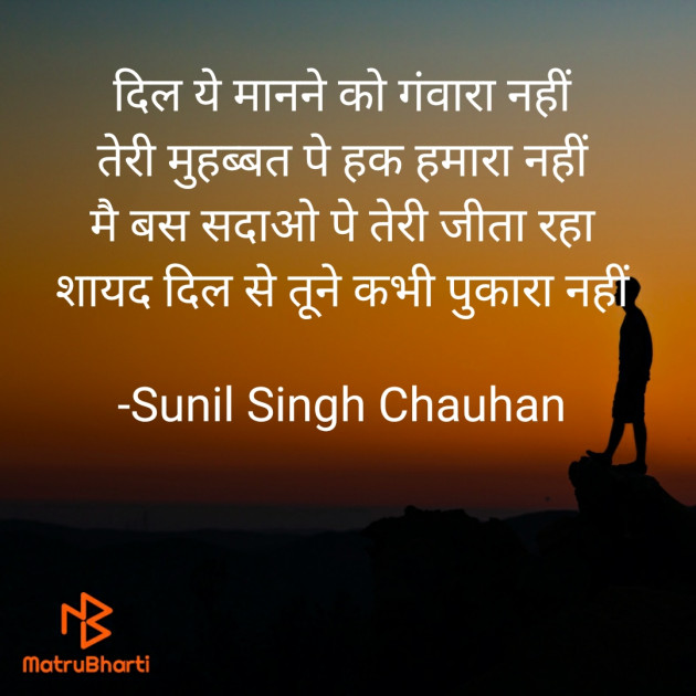 Hindi Blog by Sunil Singh Chauhan : 111718931