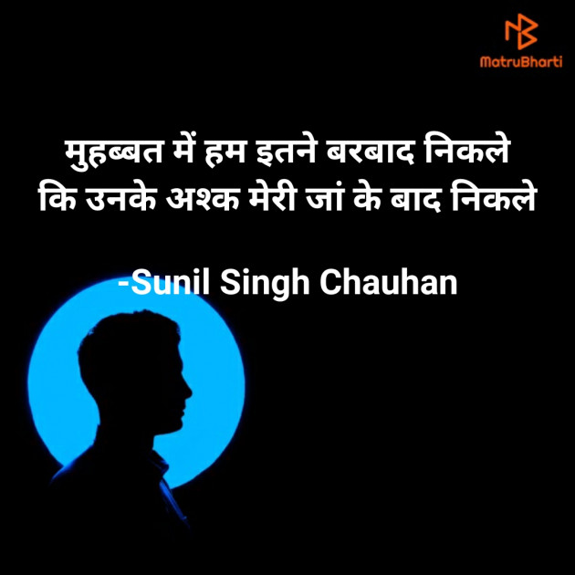 Hindi Blog by Sunil Singh Chauhan : 111718933