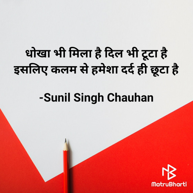 Hindi Blog by Sunil Singh Chauhan : 111718940