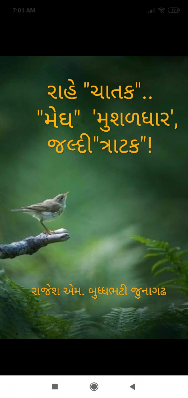 Gujarati Hiku by Rajesh Buddhabhatti : 111719352